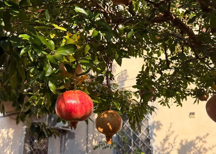 La Casa Dei Melograni Tatil Evi *