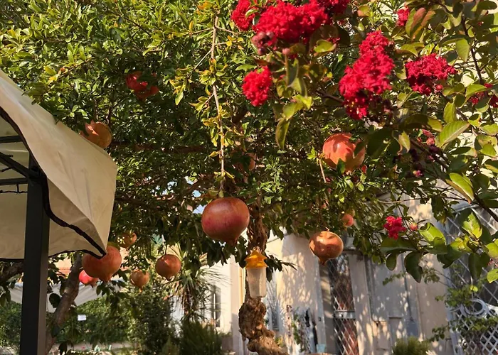 La Casa Dei Melograni Tatil Evi *